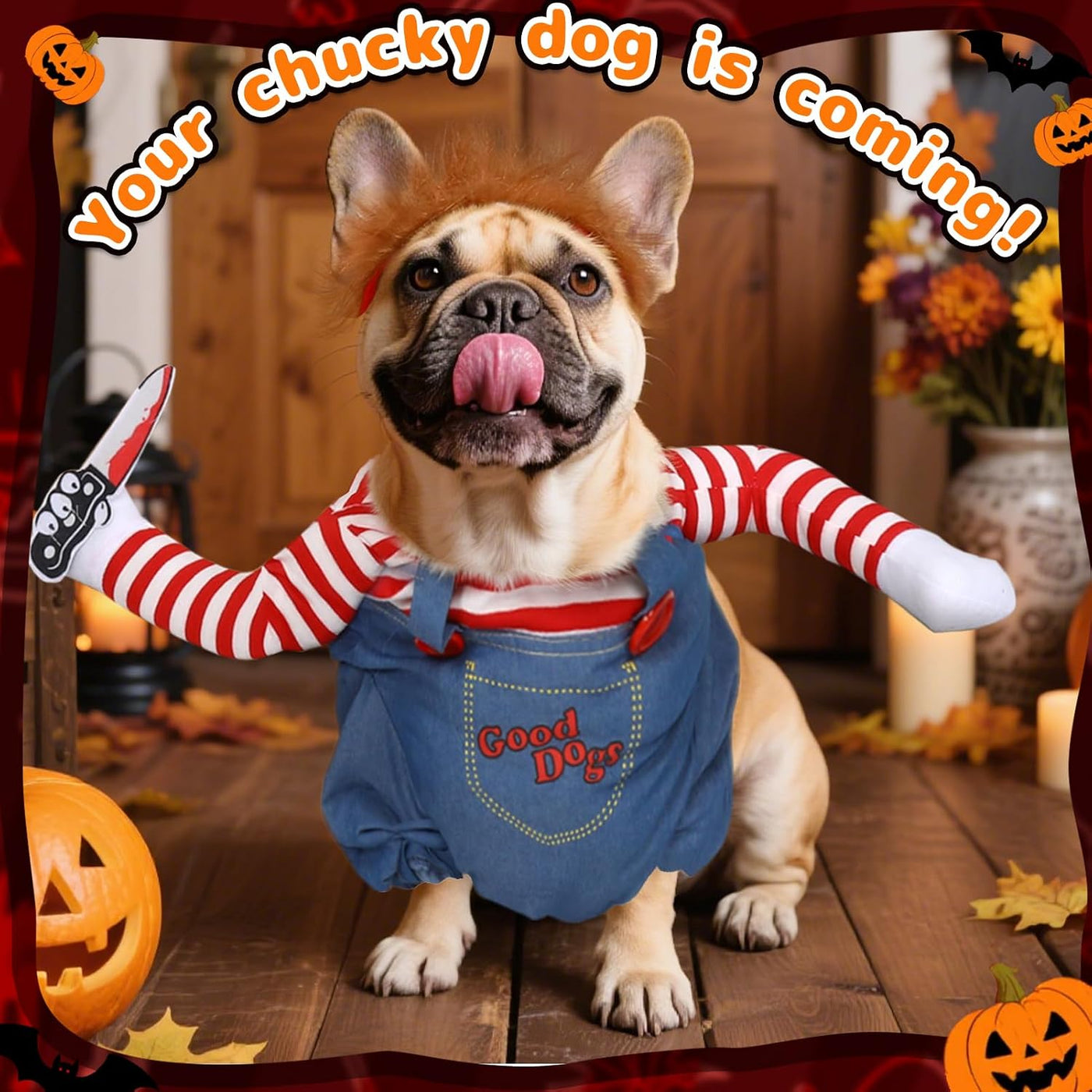Pet clothing