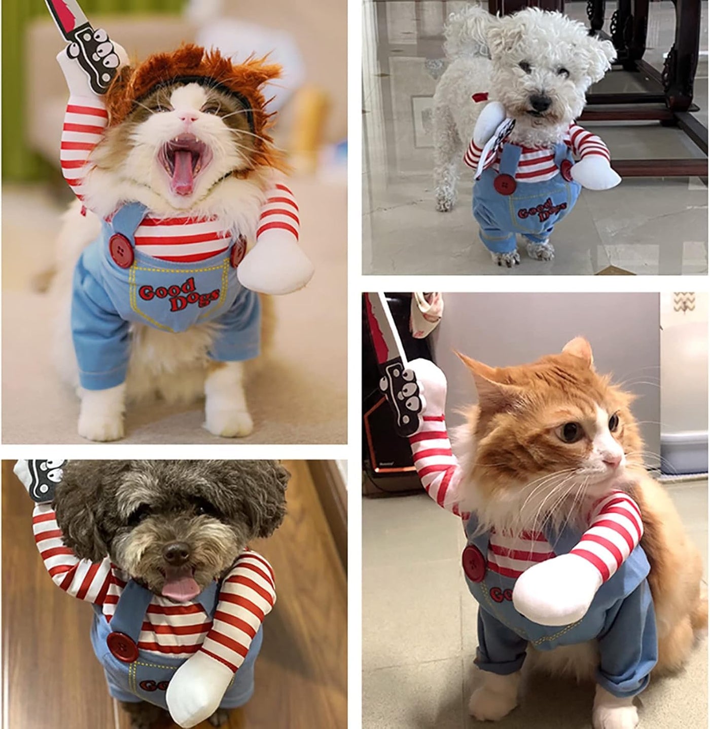 Pet clothing