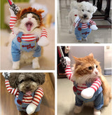 Pet clothing