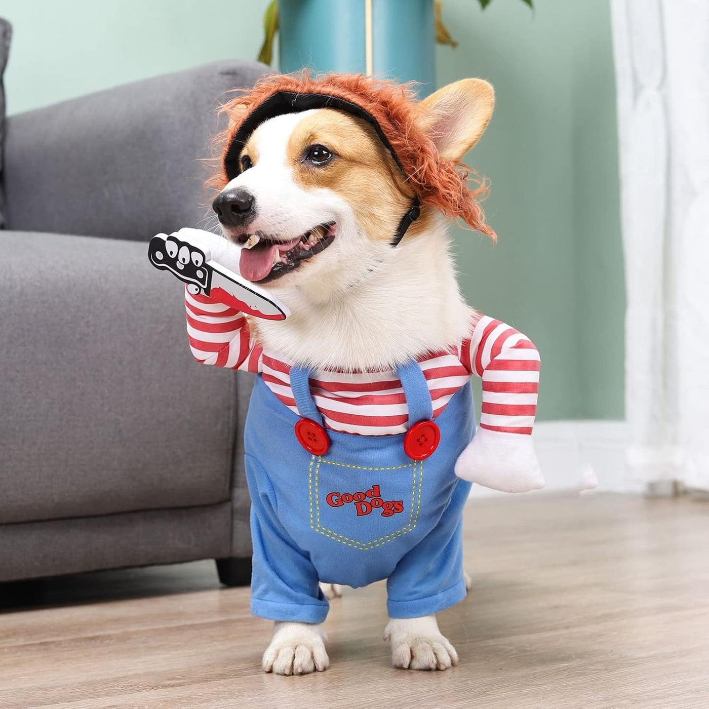 Pet clothing