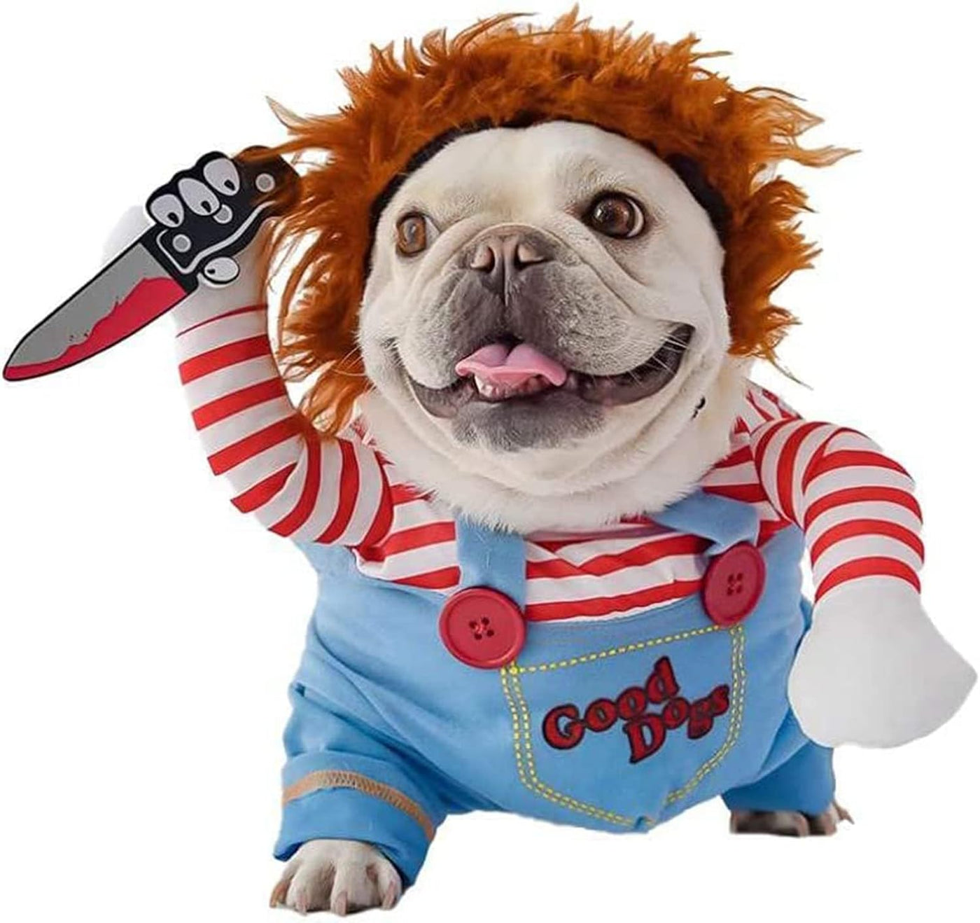 Pet clothing