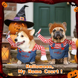 Pet clothing