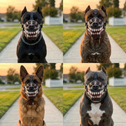 VELORA Dog Muzzle