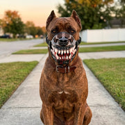 VELORA Dog Muzzle